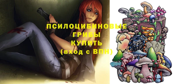 гашик Аркадак